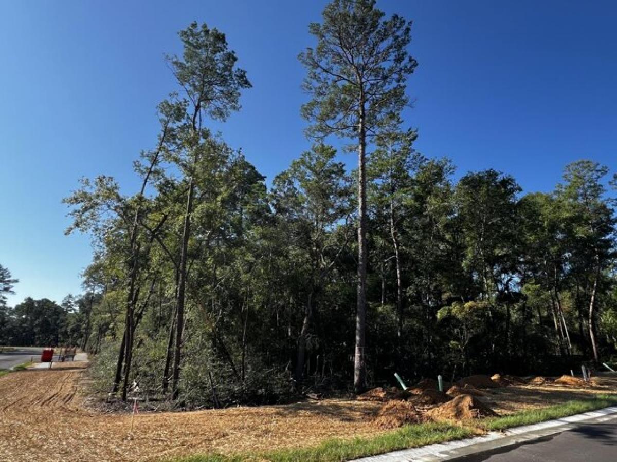 Picture of Residential Land For Sale in Niceville, Florida, United States