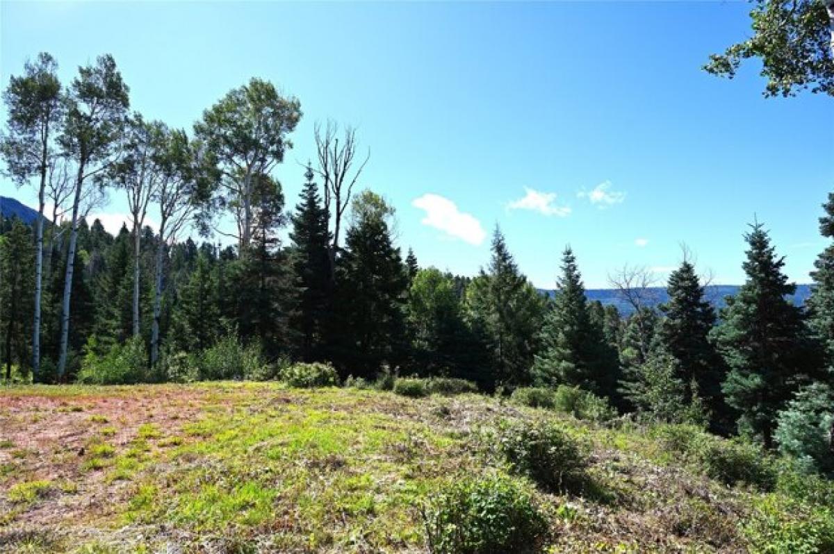 Picture of Residential Land For Sale in Chama, New Mexico, United States