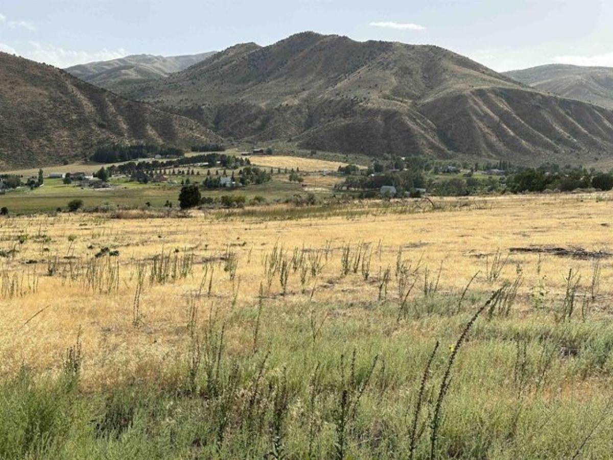 Picture of Residential Land For Sale in Inkom, Idaho, United States