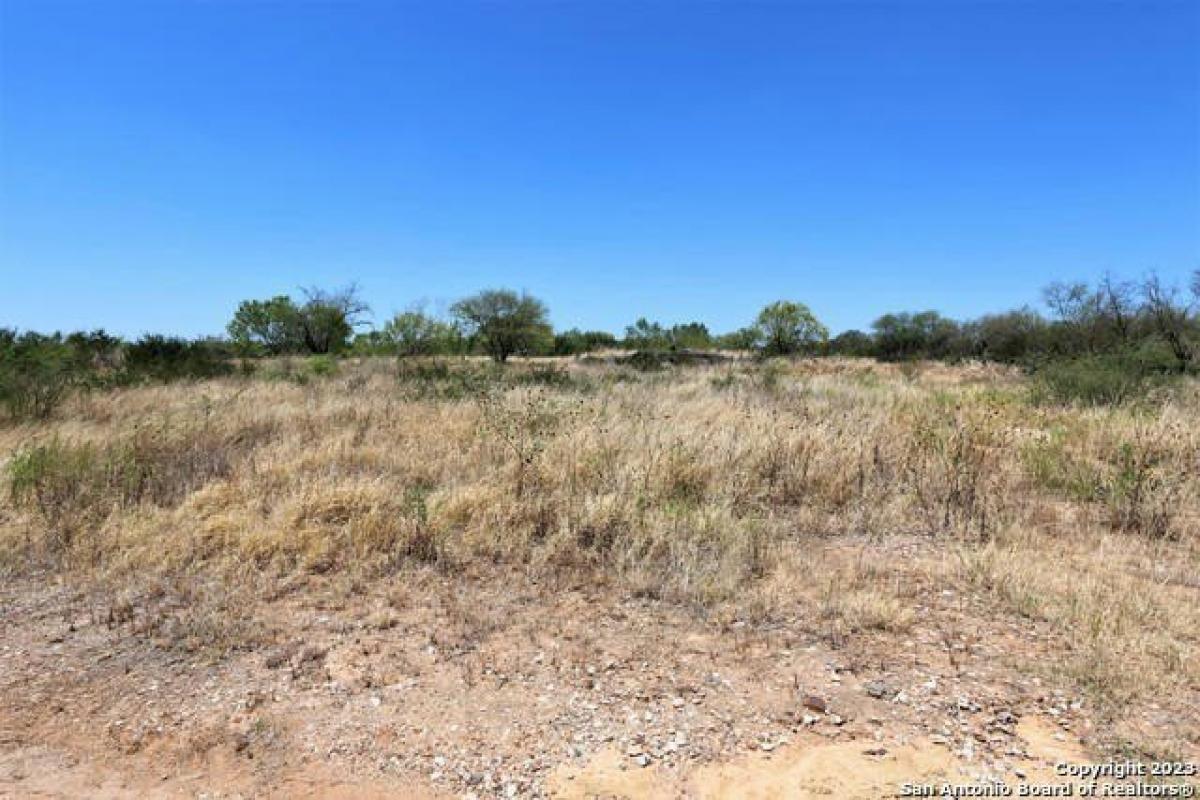 Picture of Residential Land For Sale in Devine, Texas, United States