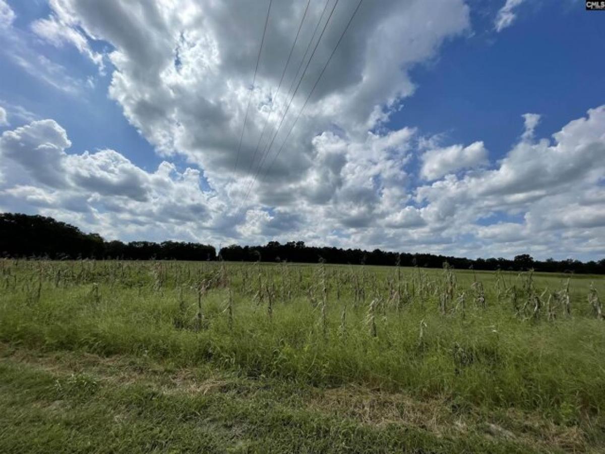 Picture of Residential Land For Sale in Swansea, South Carolina, United States