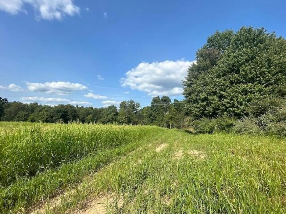 Picture of Residential Land For Sale in Mount Vernon, Ohio, United States