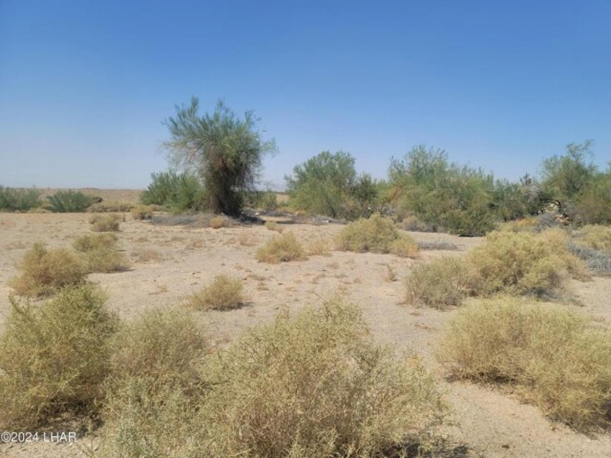 Picture of Residential Land For Sale in Ehrenberg, Arizona, United States