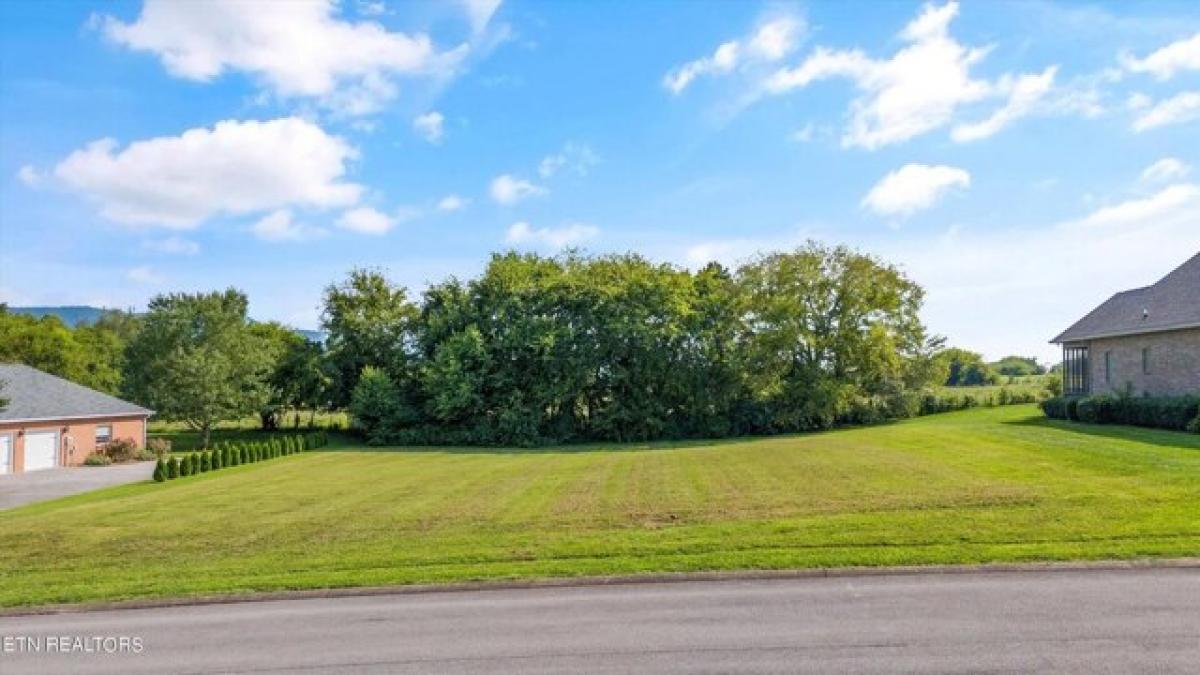 Picture of Residential Land For Sale in Maryville, Tennessee, United States