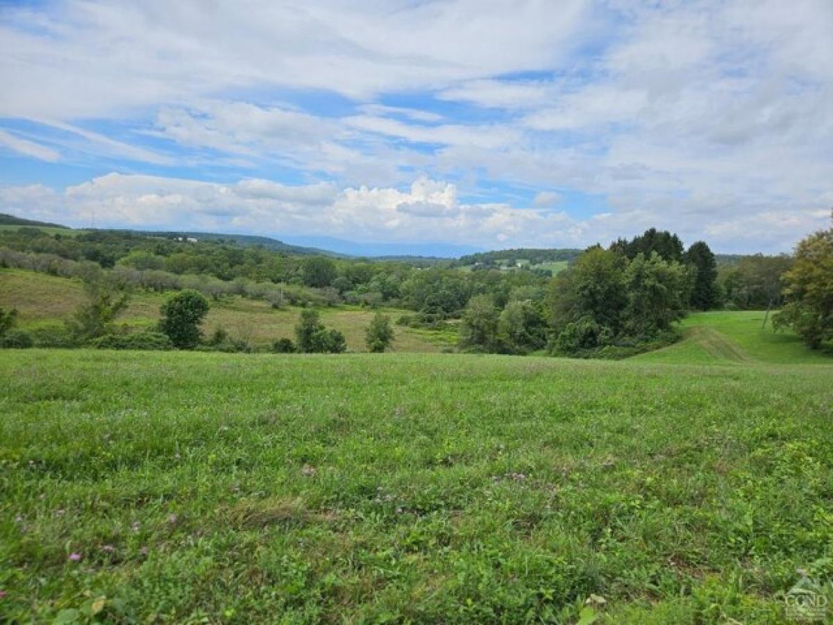 Picture of Home For Sale in Elizaville, New York, United States