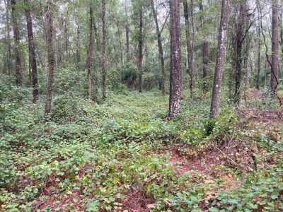 Residential Land For Sale in 