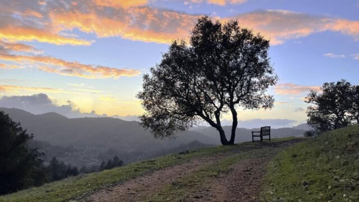 Picture of Home For Sale in Guerneville, California, United States