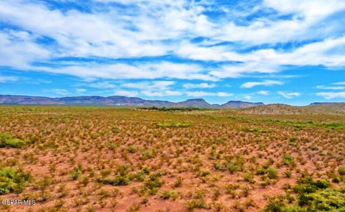 Picture of Residential Land For Sale in Fort Hancock, Texas, United States