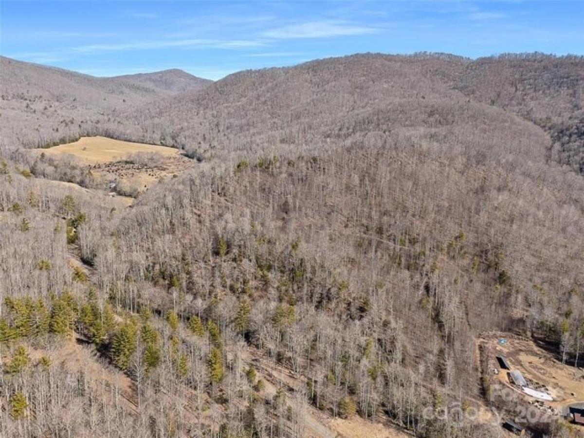 Picture of Residential Land For Sale in Green Mountain, North Carolina, United States