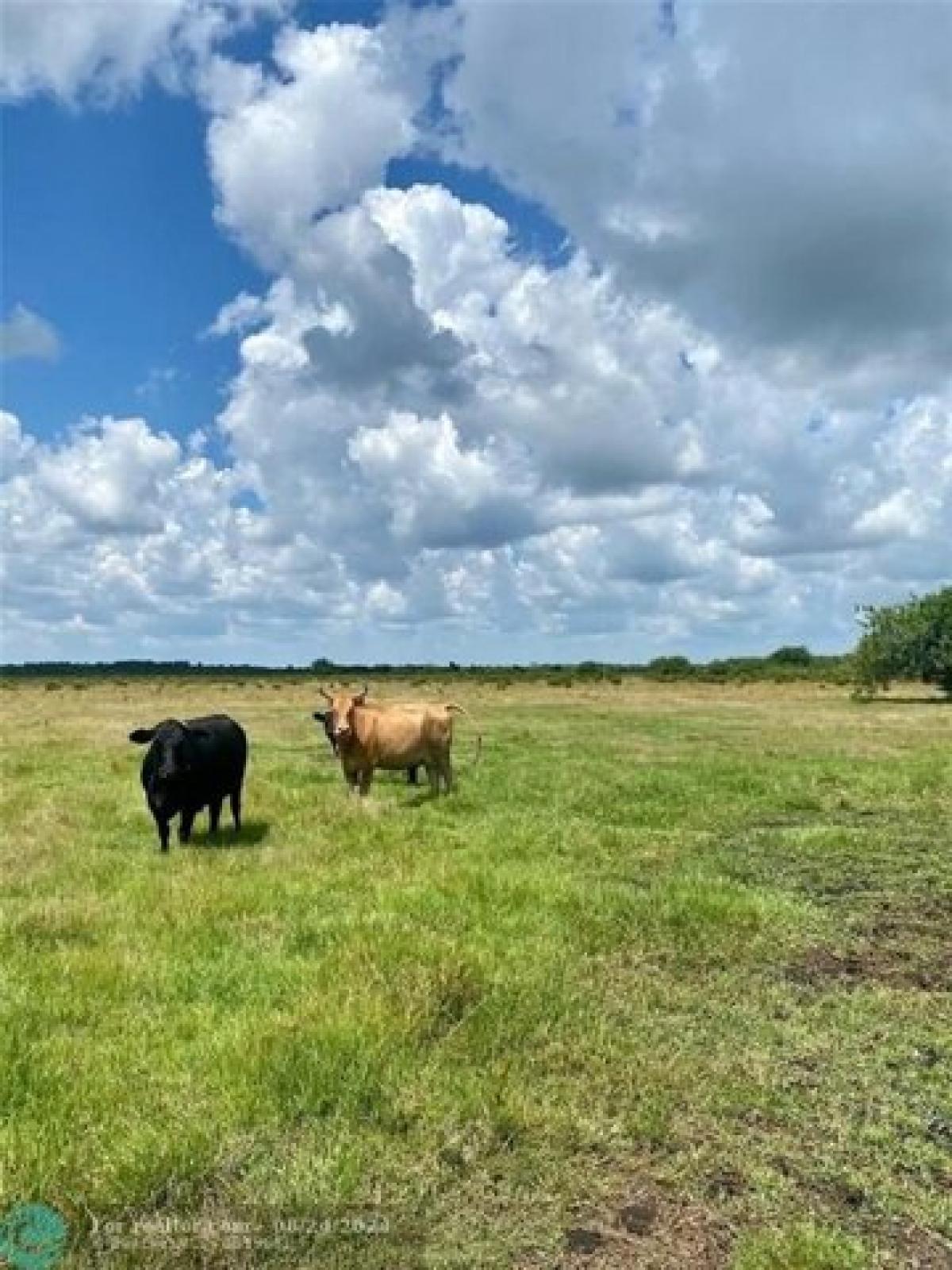 Picture of Residential Land For Sale in Okeechobee, Florida, United States