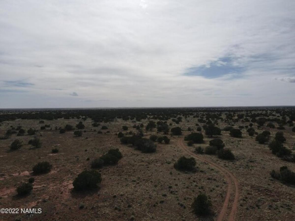 Picture of Residential Land For Sale in Williams, Arizona, United States