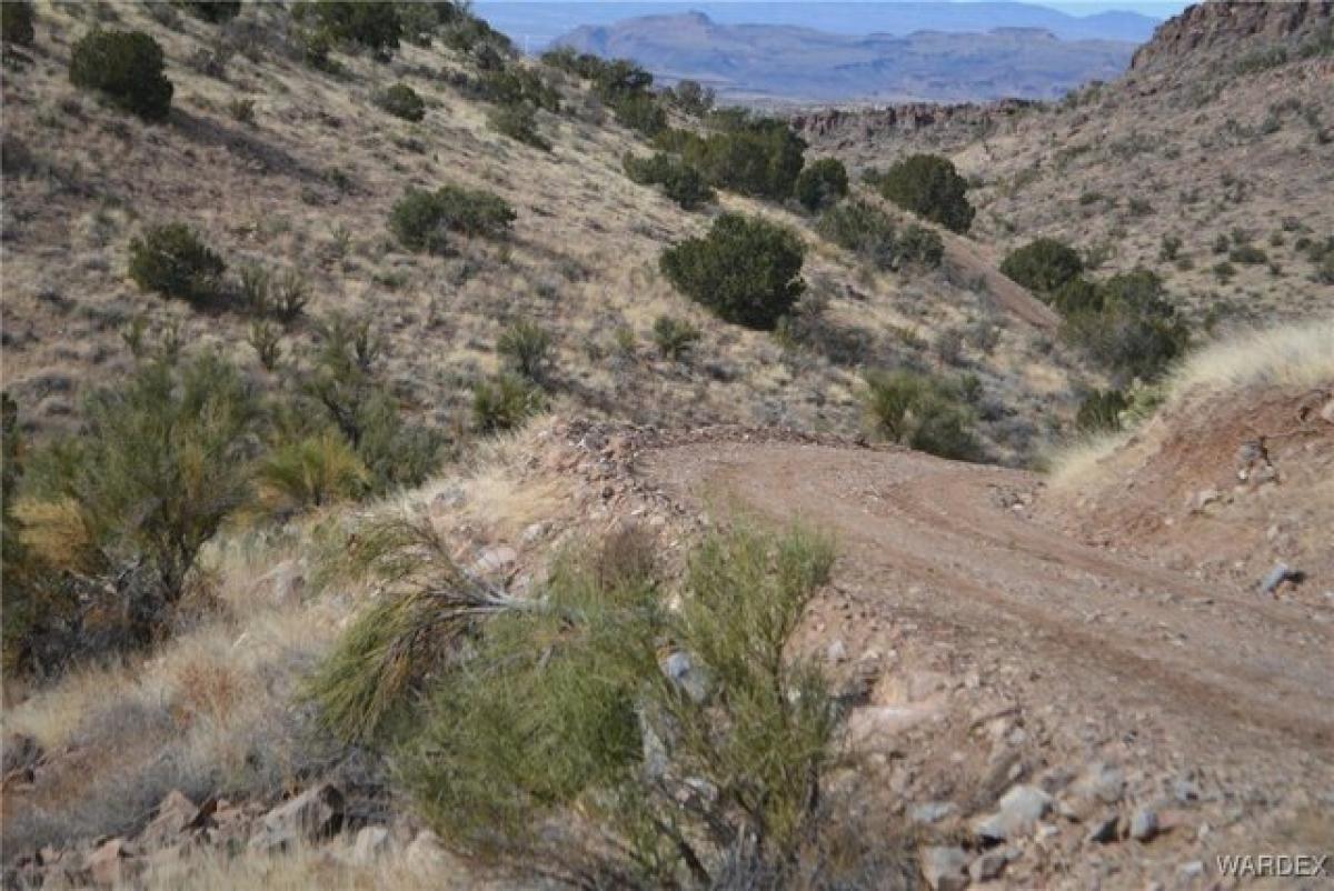 Picture of Residential Land For Sale in Kingman, Arizona, United States