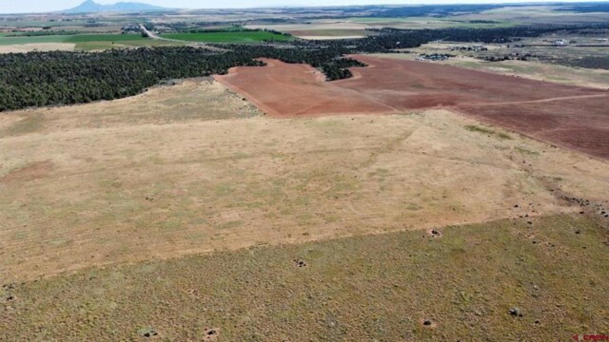 Picture of Residential Land For Sale in Cahone, Colorado, United States