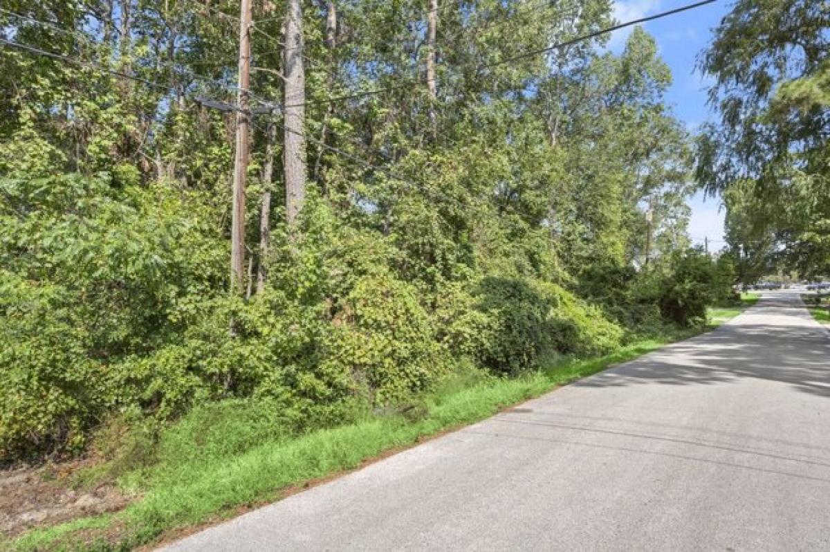 Picture of Residential Land For Sale in Conroe, Texas, United States