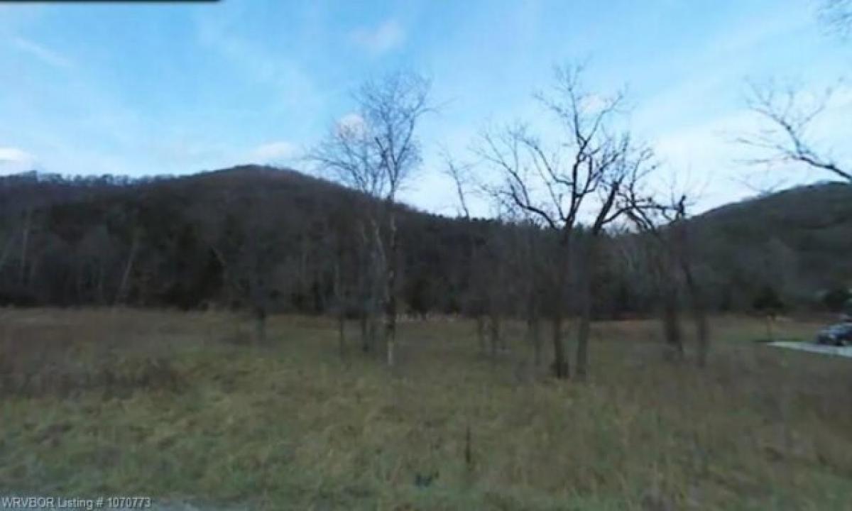 Picture of Residential Land For Sale in Holiday Island, Arkansas, United States