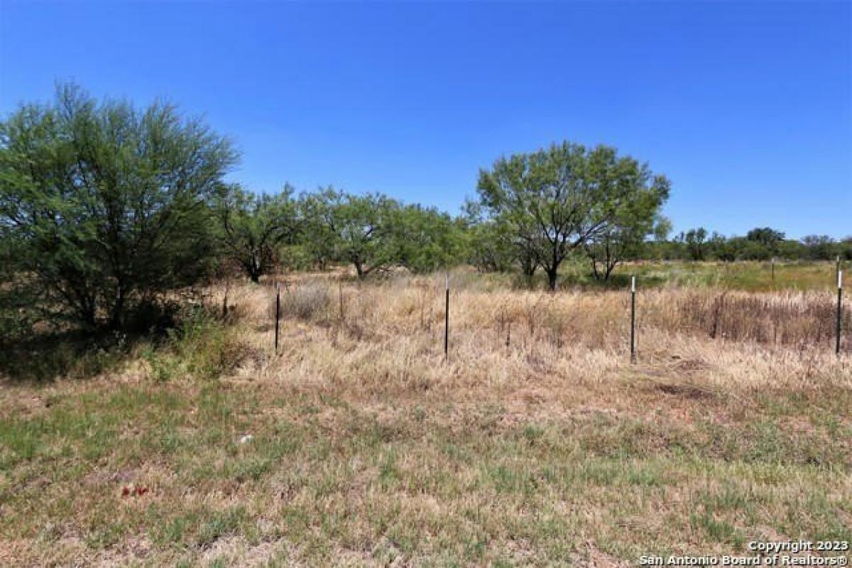 Picture of Residential Land For Sale in Devine, Texas, United States