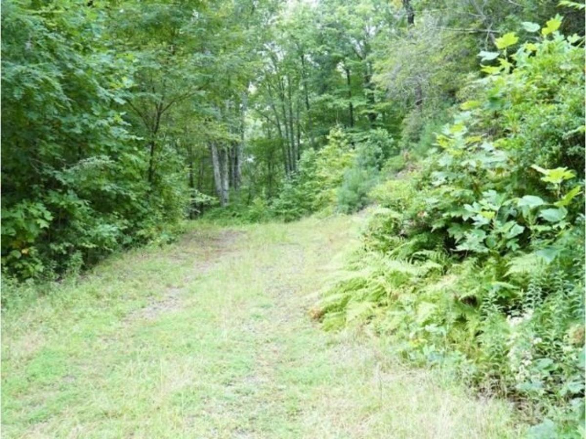 Picture of Residential Land For Sale in Spruce Pine, North Carolina, United States