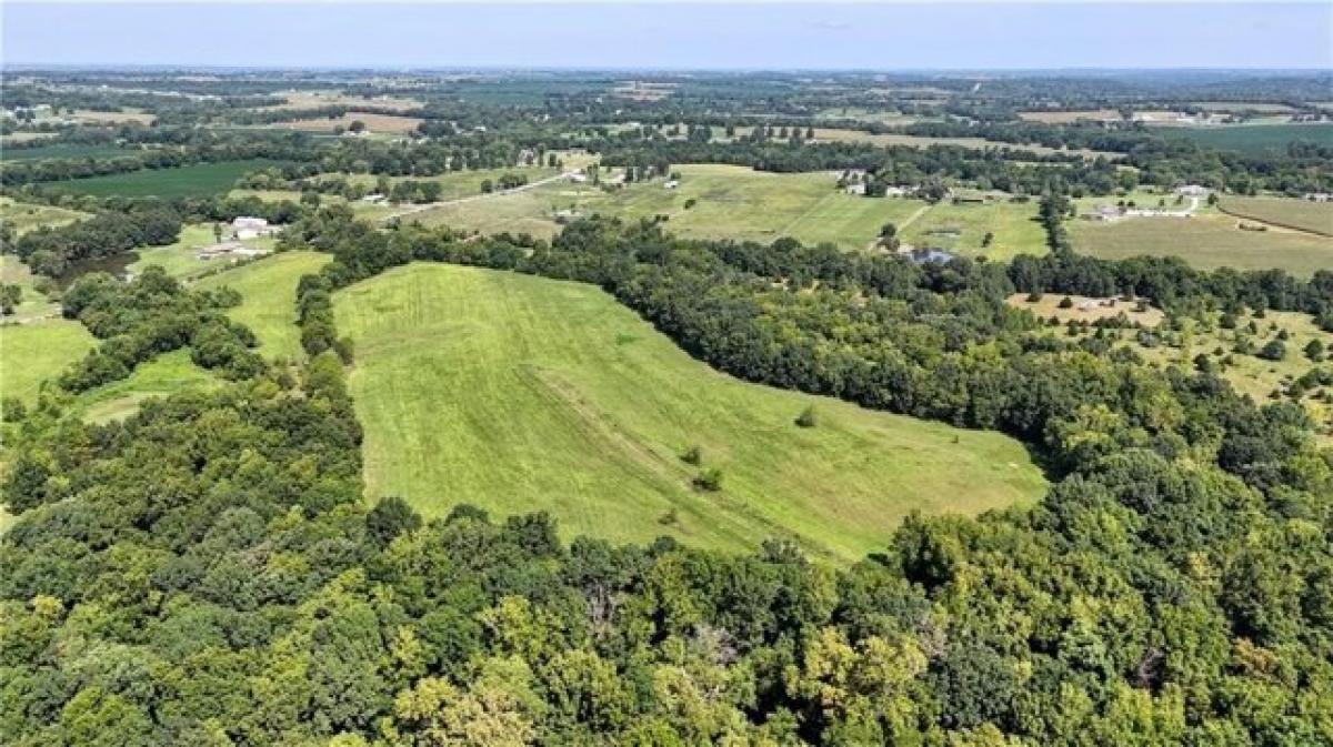 Picture of Residential Land For Sale in Odessa, Missouri, United States