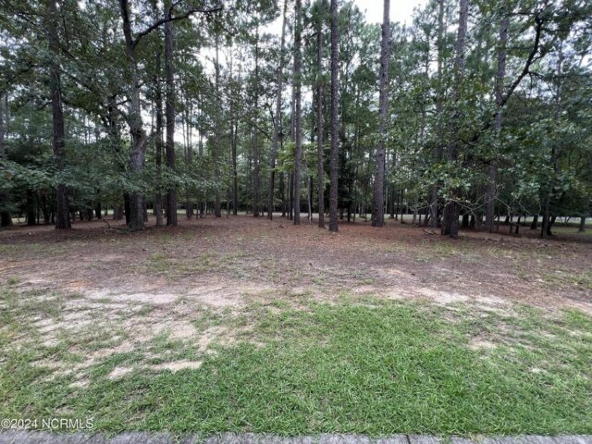 Picture of Residential Land For Sale in Shallotte, North Carolina, United States