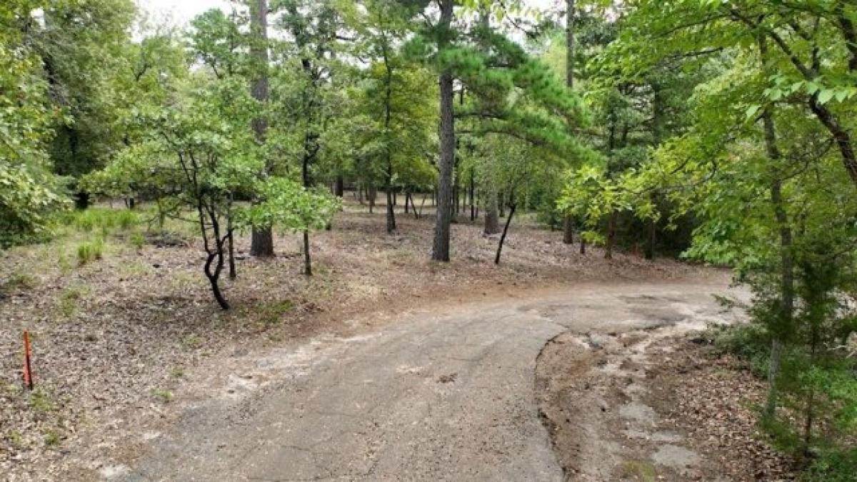 Picture of Residential Land For Sale in Holly Lake Ranch, Texas, United States