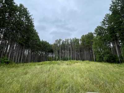 Residential Land For Sale in Bemidji, Minnesota