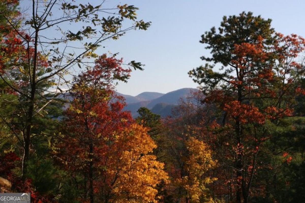 Picture of Residential Land For Sale in Clayton, Georgia, United States