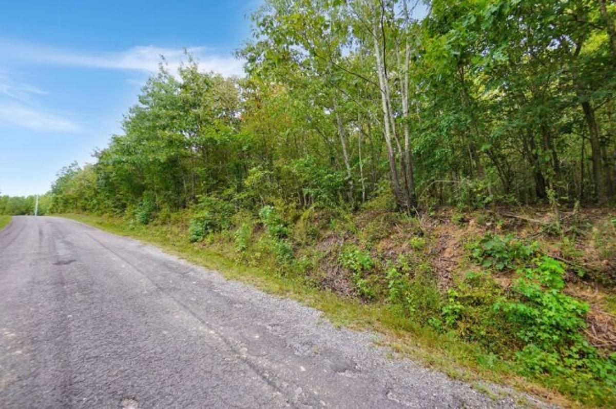 Picture of Residential Land For Sale in Dover, Tennessee, United States