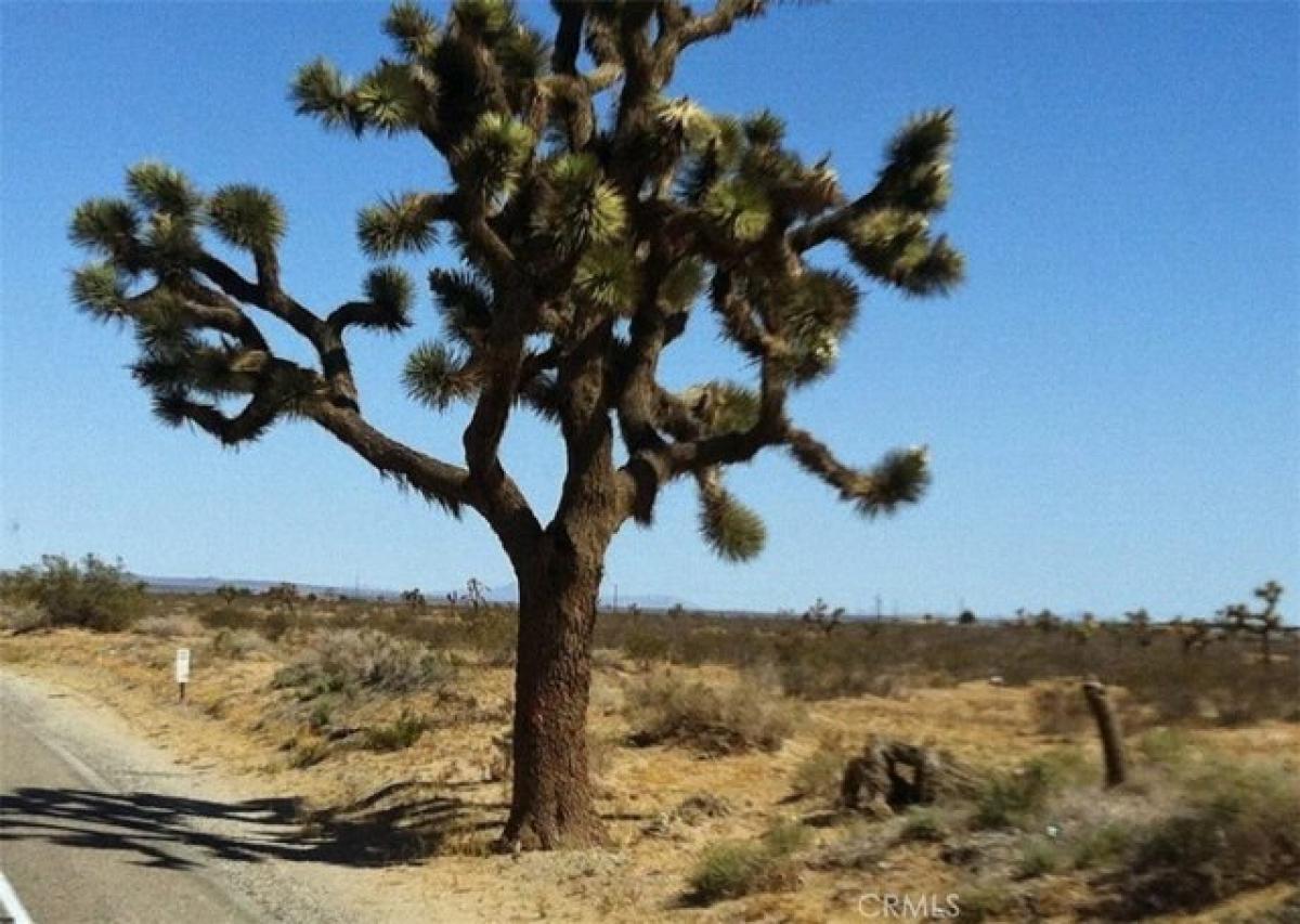 Picture of Residential Land For Sale in Adelanto, California, United States