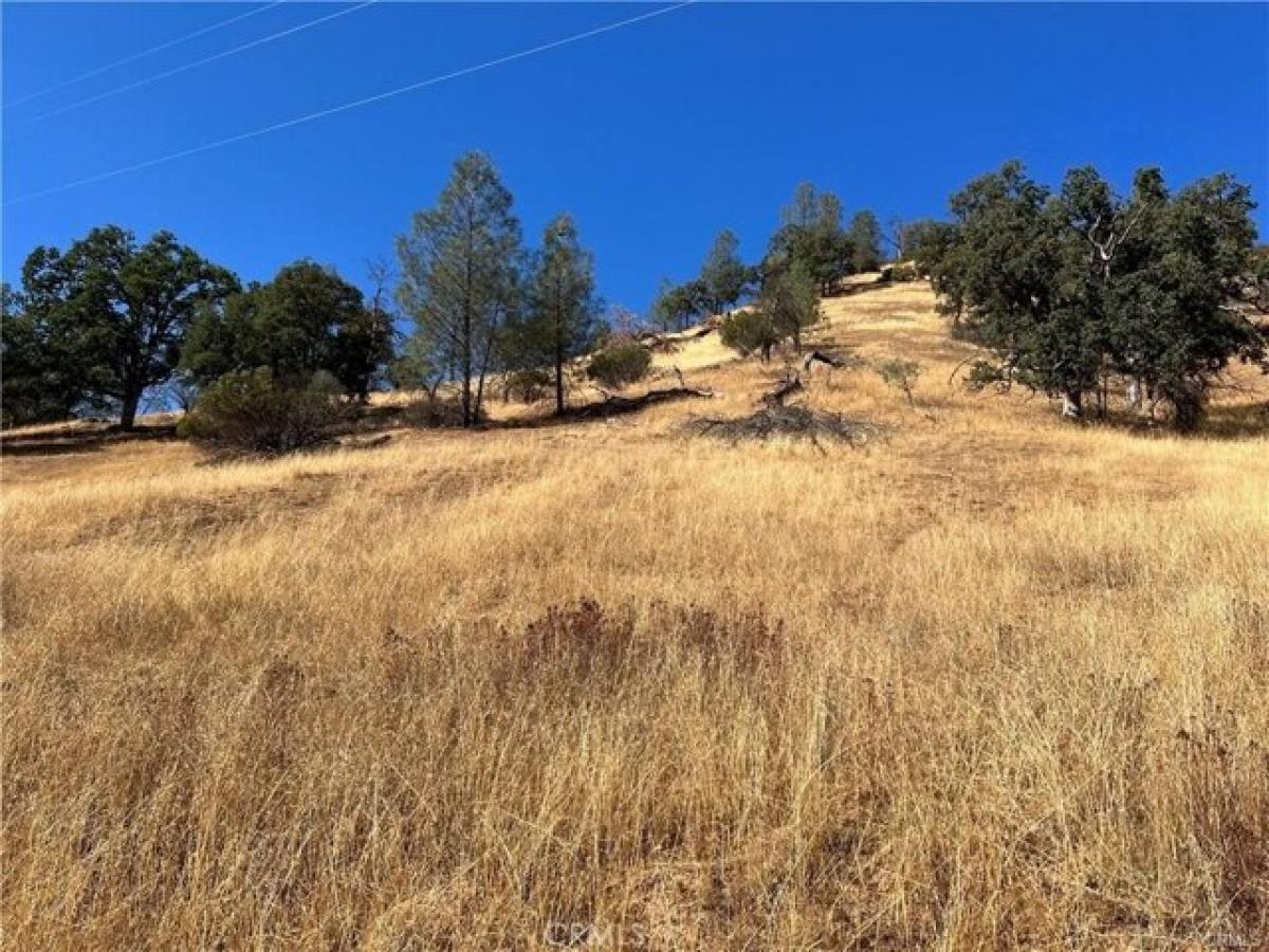 Picture of Residential Land For Sale in Clearlake Oaks, California, United States