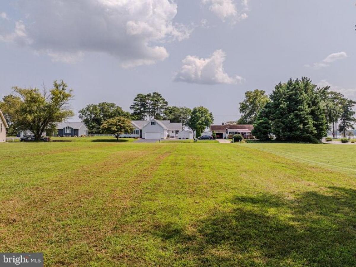 Picture of Residential Land For Sale in Millsboro, Delaware, United States