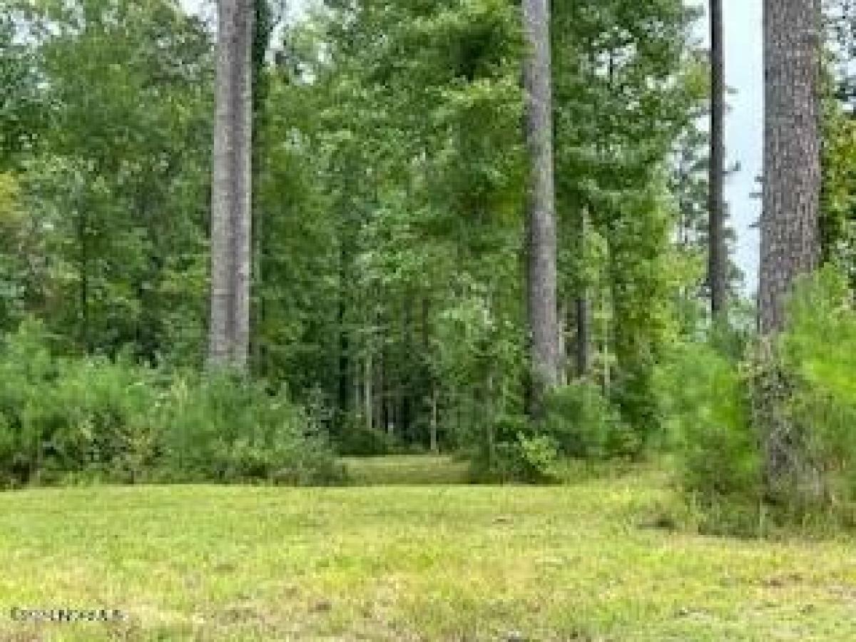 Picture of Residential Land For Sale in New Bern, North Carolina, United States