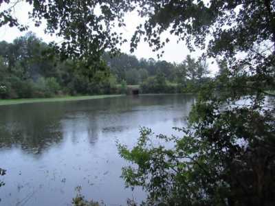 Residential Land For Sale in Eufaula, Alabama