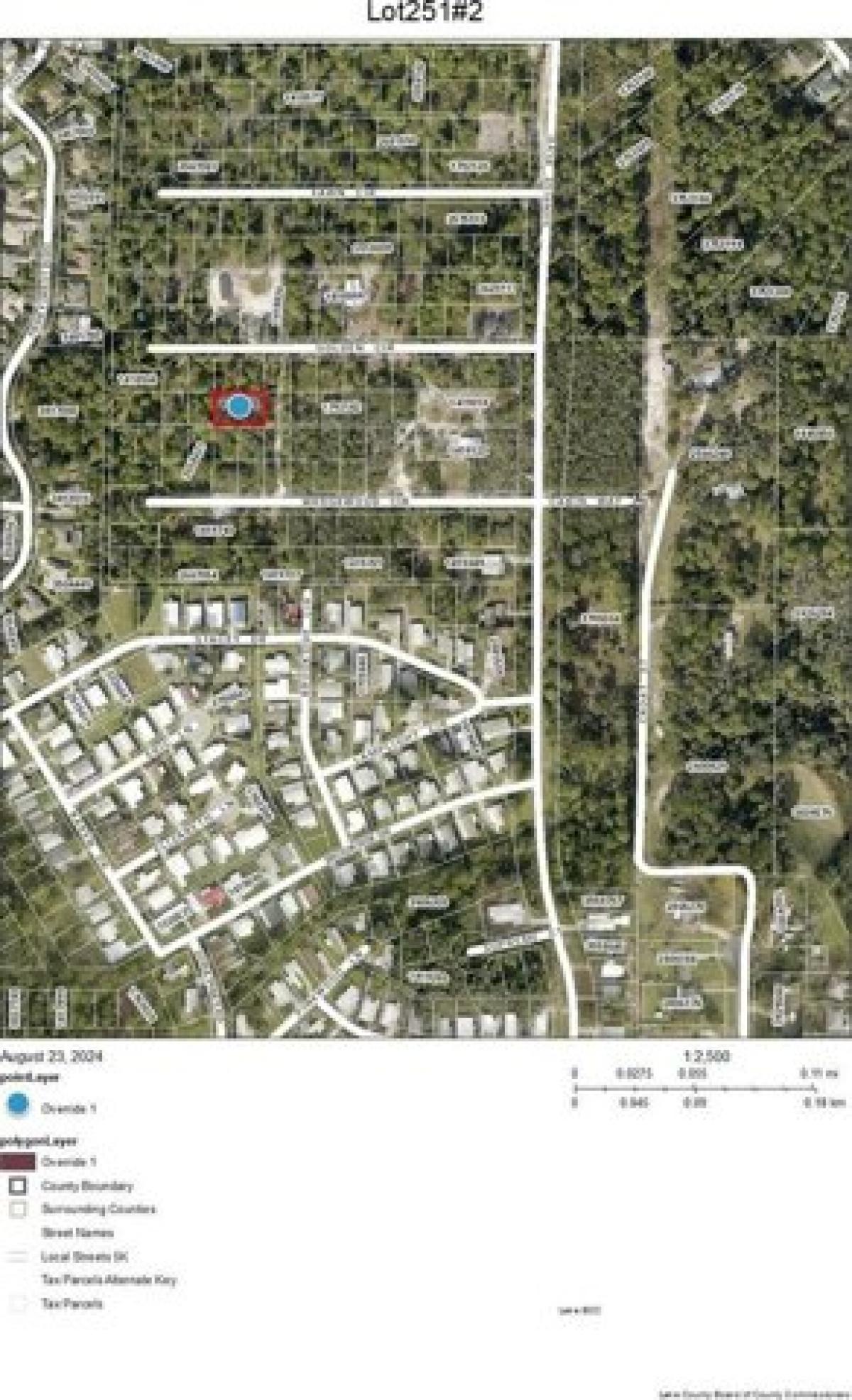 Picture of Residential Land For Sale in Mount Dora, Florida, United States