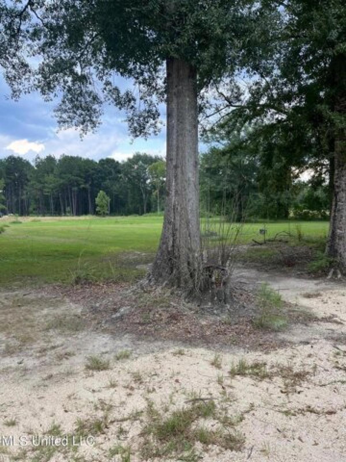 Picture of Residential Land For Sale in Picayune, Mississippi, United States