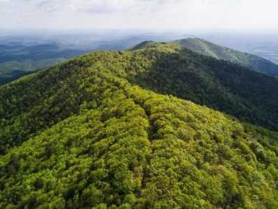 Residential Land For Sale in Stuart, Virginia