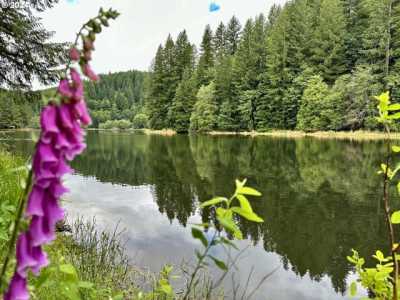 Residential Land For Sale in Birkenfeld, Oregon