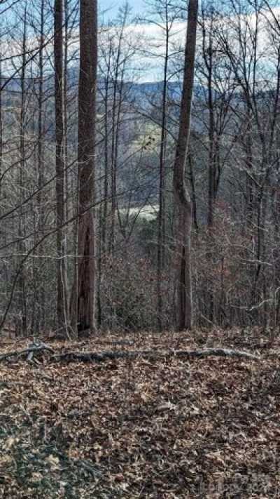 Residential Land For Sale in Marshall, North Carolina