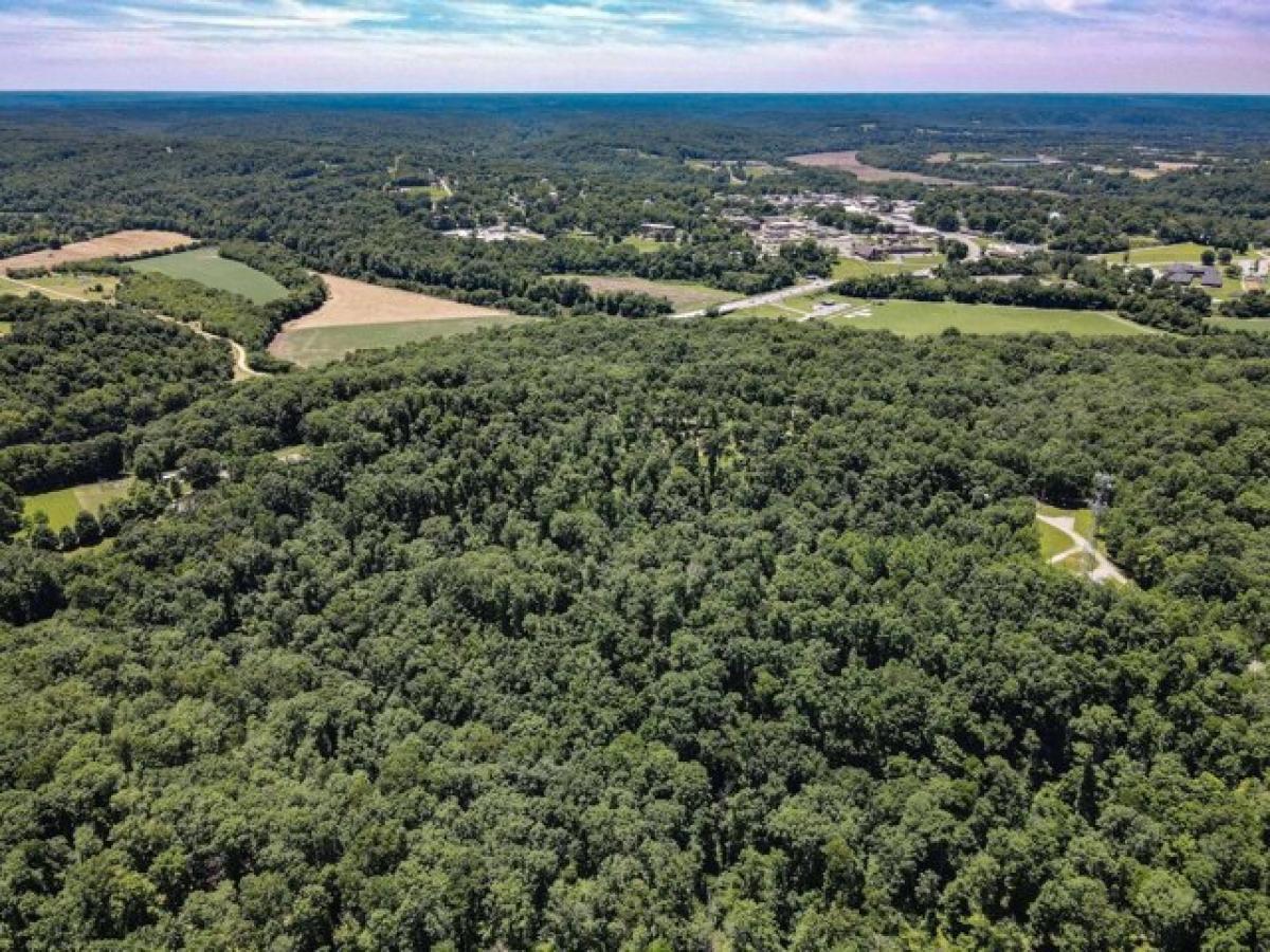 Picture of Residential Land For Sale in Centerville, Tennessee, United States