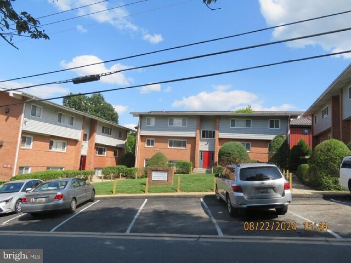 Picture of Apartment For Rent in Laurel, Maryland, United States