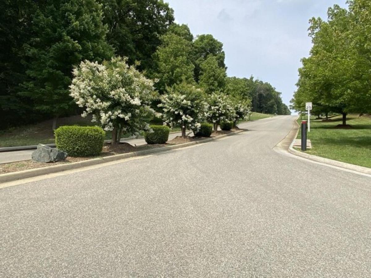 Picture of Residential Land For Sale in Rocky Mount, Virginia, United States