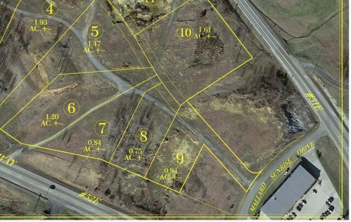 Picture of Residential Land For Sale in Westmoreland, Tennessee, United States