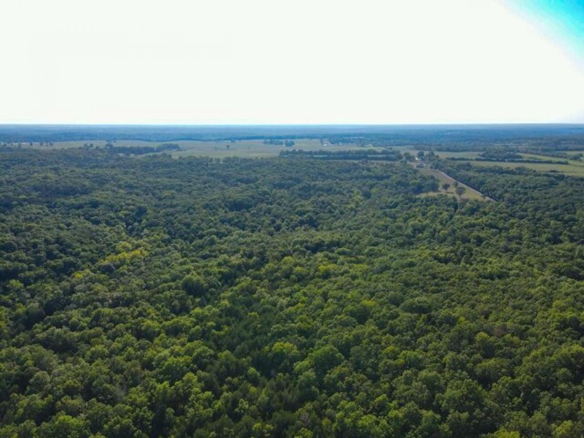 Picture of Residential Land For Sale in Wheatland, Missouri, United States