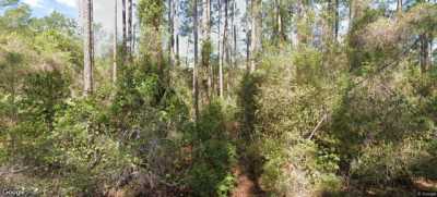 Residential Land For Sale in Georgetown, Florida