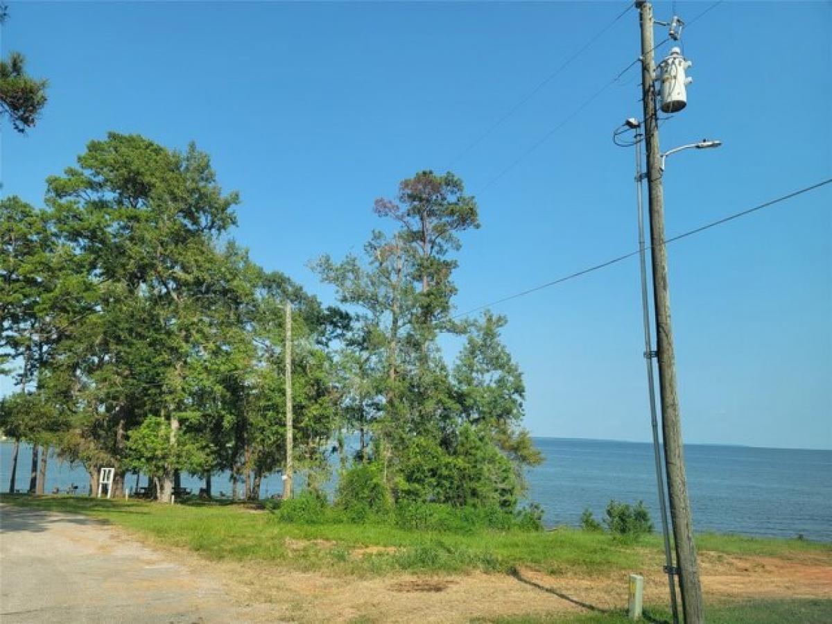 Picture of Residential Land For Sale in Pointblank, Texas, United States