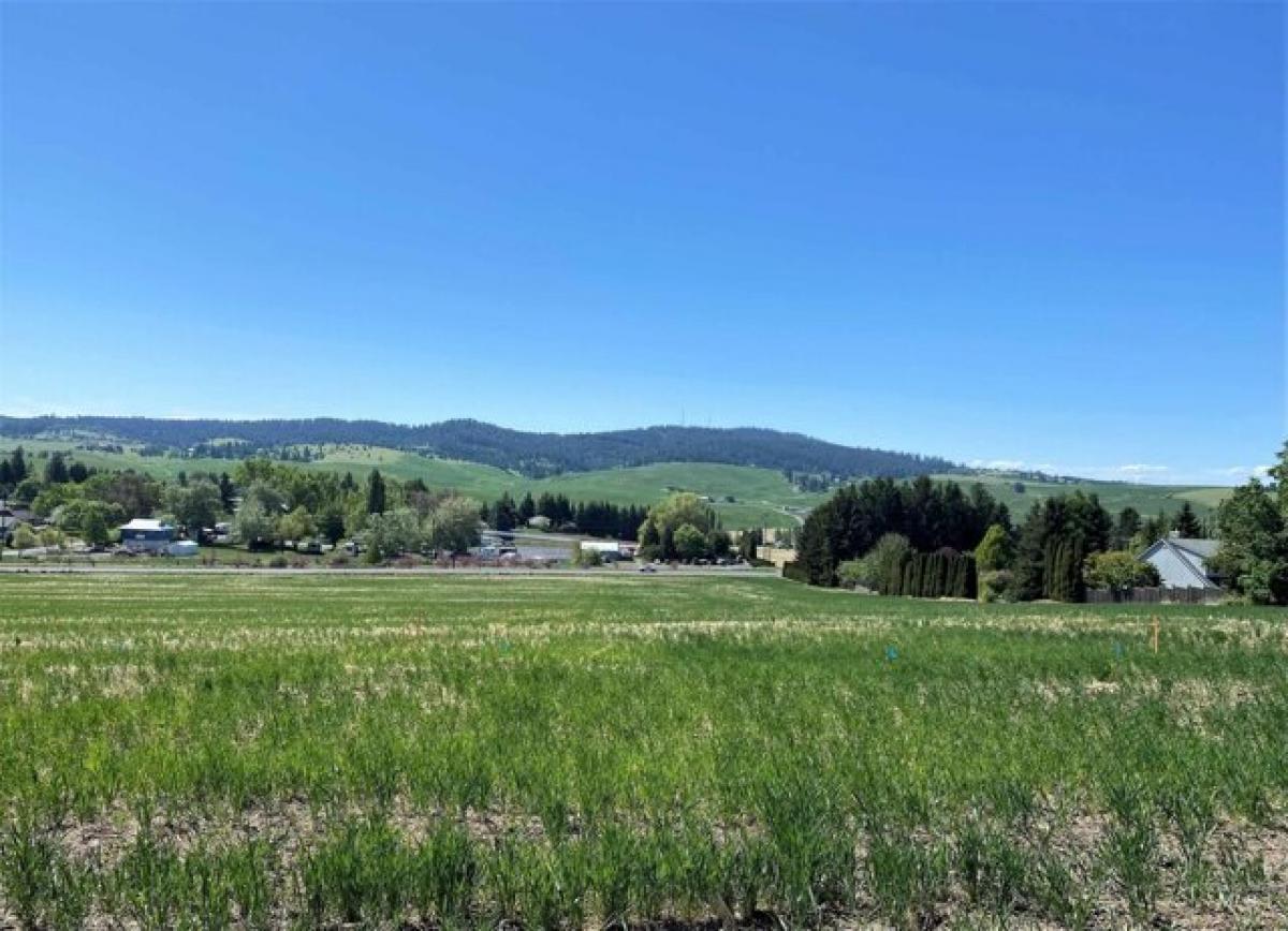 Picture of Residential Land For Sale in Moscow, Idaho, United States