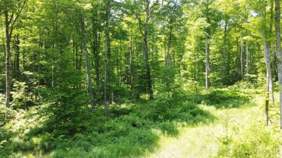 Picture of Residential Land For Sale in Shingleton, Michigan, United States