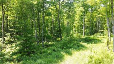 Residential Land For Sale in Shingleton, Michigan