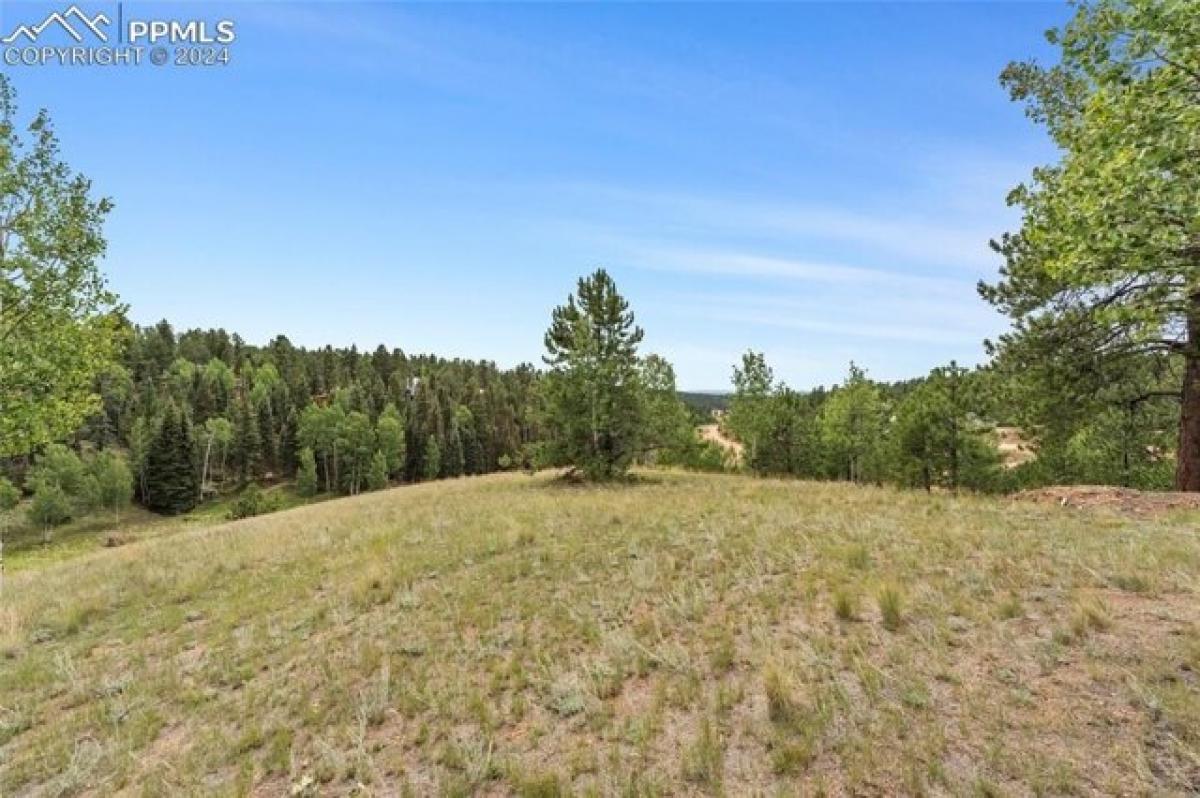 Picture of Residential Land For Sale in Divide, Colorado, United States