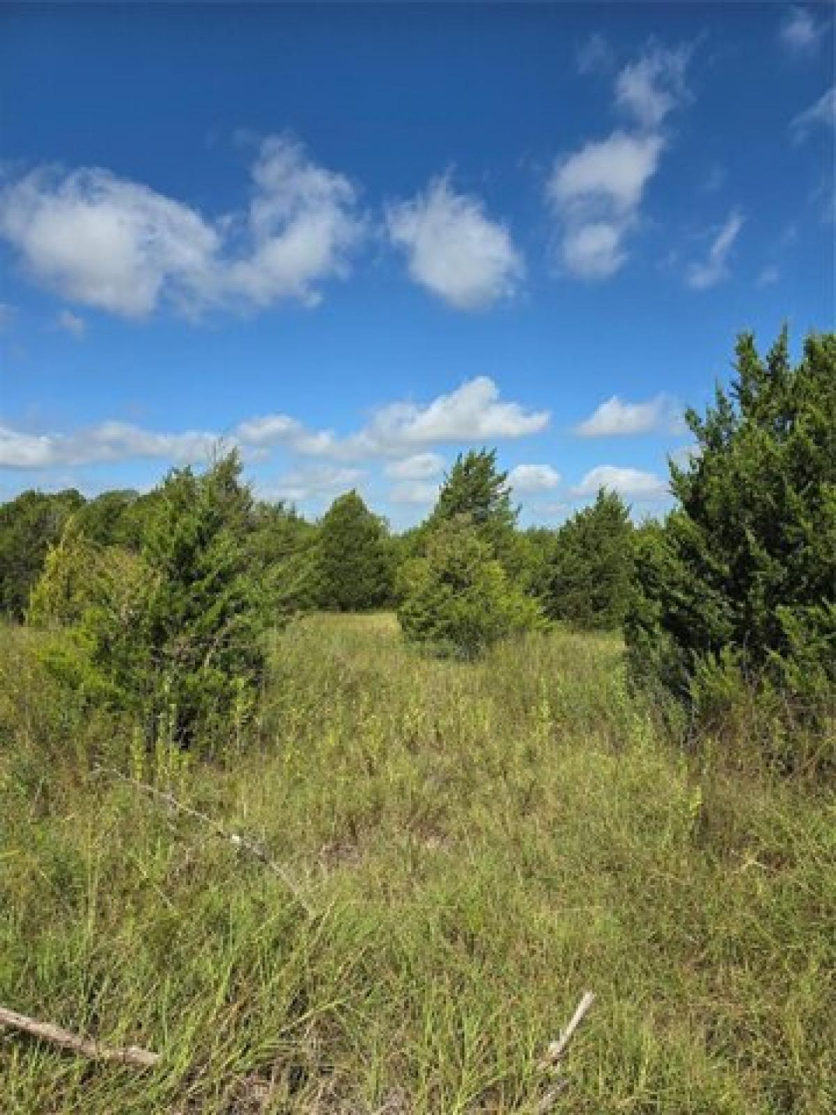 Picture of Residential Land For Sale in Celeste, Texas, United States