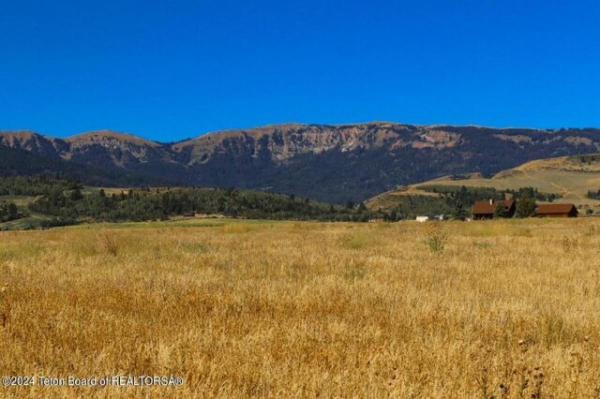 Picture of Residential Land For Sale in Driggs, Idaho, United States